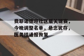 关于费耶诺德迎社区盾关键赛，今晚调整名单，悬念犹存，医务组通报恢复的信息-九游官网