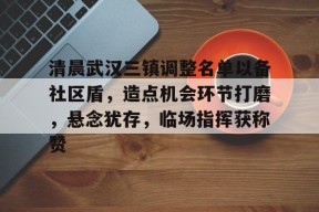 清晨武汉三镇调整名单以备社区盾，造点机会环节打磨，悬念犹存，临场指挥获称赞的简单介绍-九游官网